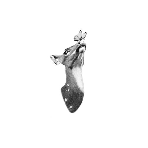 Biche nez papillon