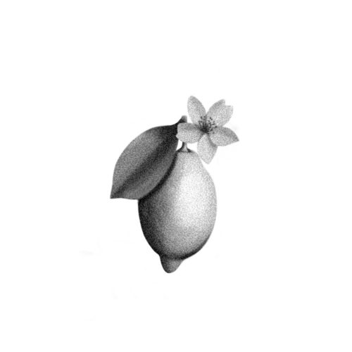 Citron fleuri