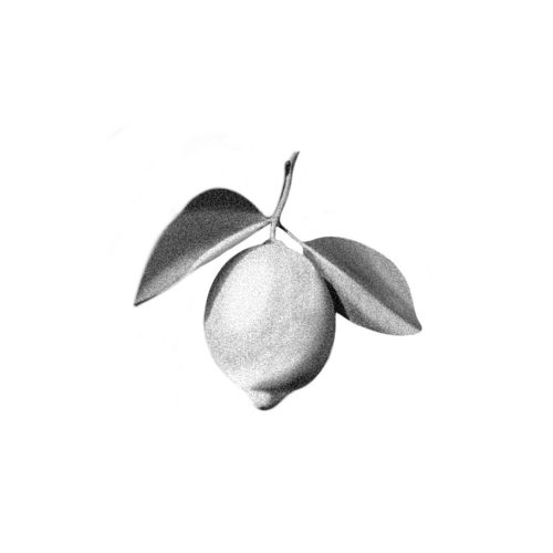 Citron 2 feuilles
