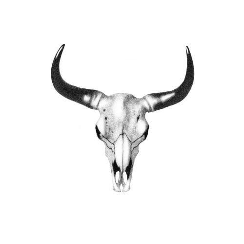 Crane bison