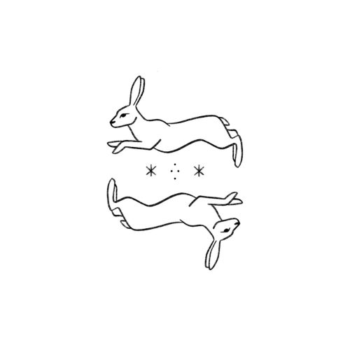 D 2 lapins horizontaux