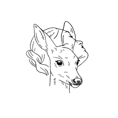 D Visage Femme/biche
