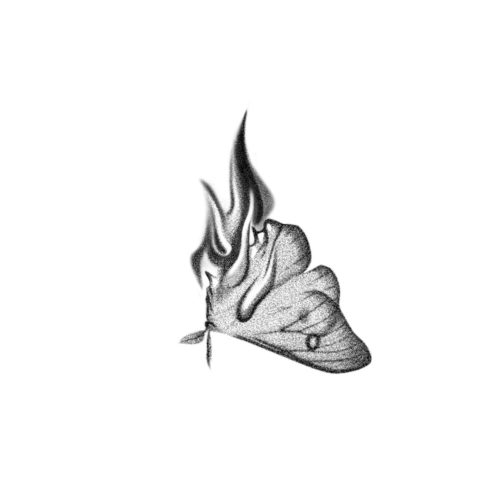Papillon transparent en feu