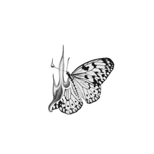 Papillon trac&eacute; en feu