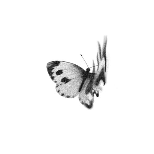 Papillon simple en feu