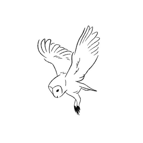 Réel_Forêt copie 3